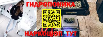 прущие грибы Бугуруслан